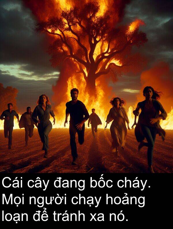 loạn: Cái cây đang bốc cháy. Mọi người chạy hoảng loạn để tránh xa nó.