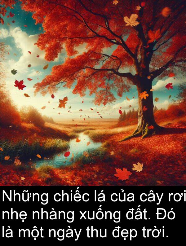 thu: Những chiếc lá của cây rơi nhẹ nhàng xuống đất. Đó là một ngày thu đẹp trời.