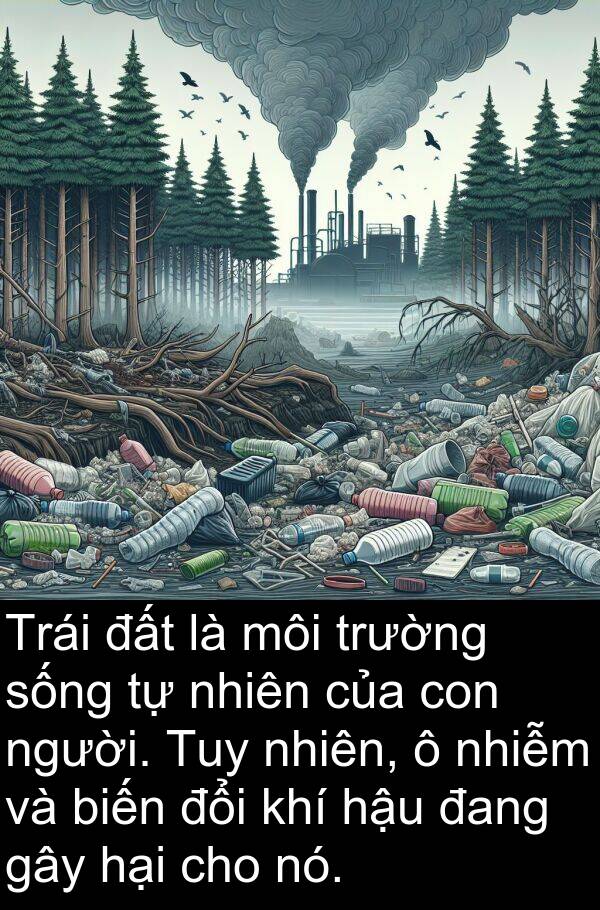 hại: Trái đất là môi trường sống tự nhiên của con người. Tuy nhiên, ô nhiễm và biến đổi khí hậu đang gây hại cho nó.