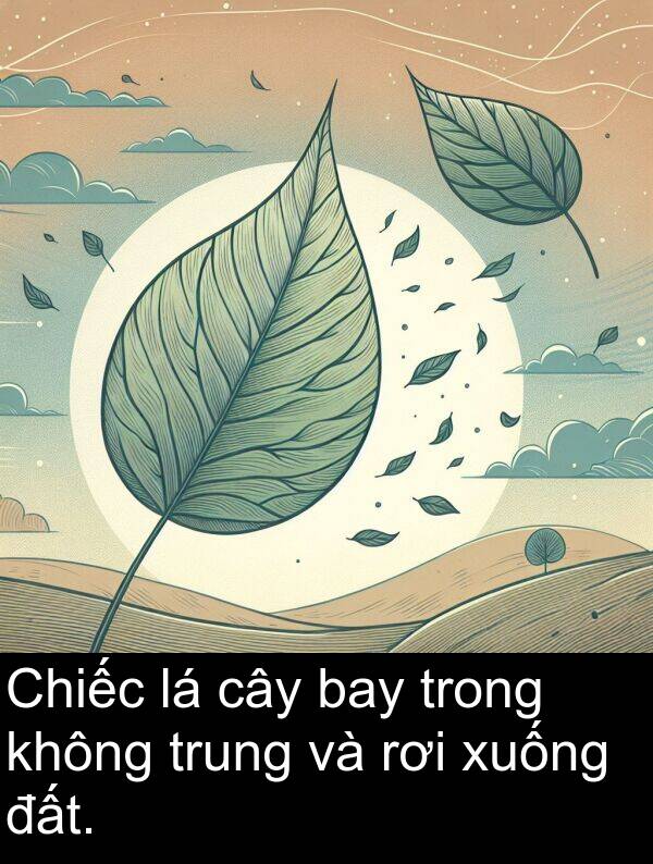 đất: Chiếc lá cây bay trong không trung và rơi xuống đất.