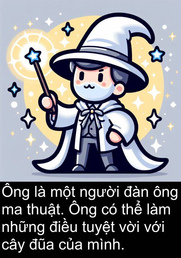 đũa: Ông là một người đàn ông ma thuật. Ông có thể làm những điều tuyệt vời với cây đũa của mình.