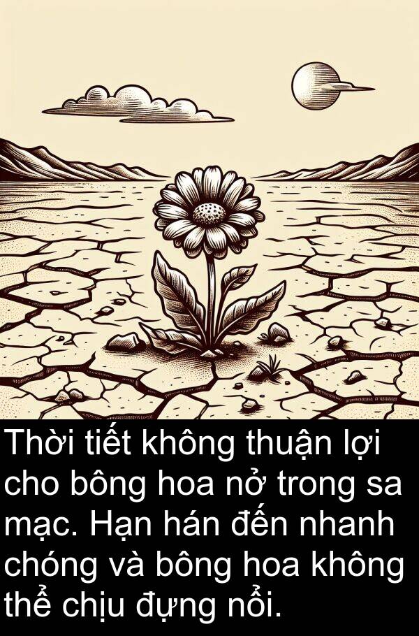 đựng: Thời tiết không thuận lợi cho bông hoa nở trong sa mạc. Hạn hán đến nhanh chóng và bông hoa không thể chịu đựng nổi.