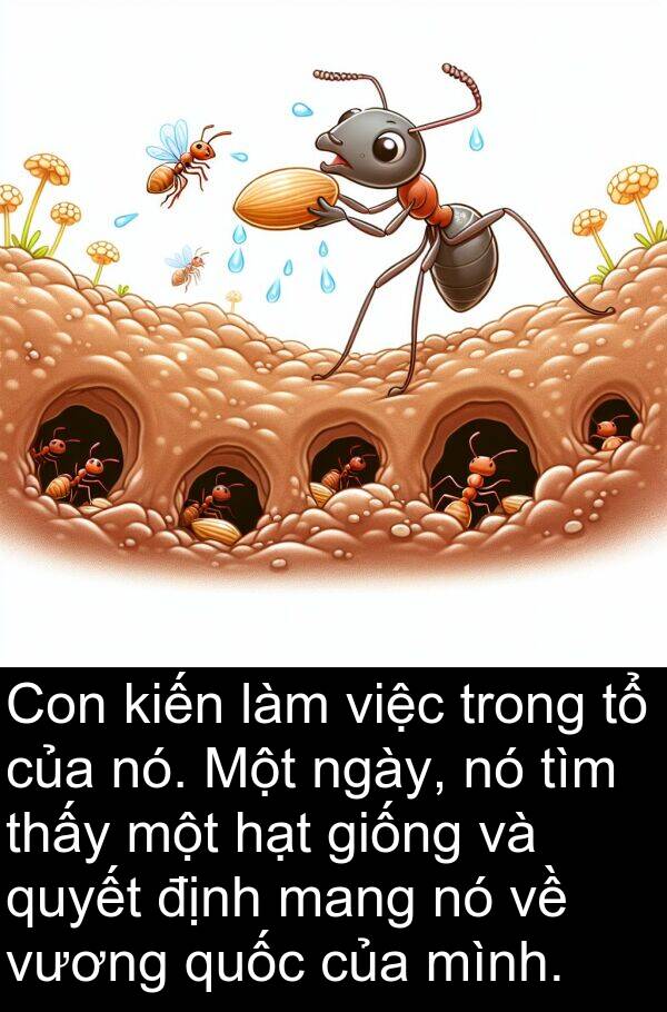 hạt: Con kiến làm việc trong tổ của nó. Một ngày, nó tìm thấy một hạt giống và quyết định mang nó về vương quốc của mình.