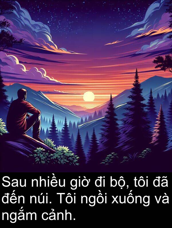 giờ: Sau nhiều giờ đi bộ, tôi đã đến núi. Tôi ngồi xuống và ngắm cảnh.