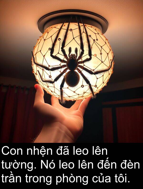 trần: Con nhện đã leo lên tường. Nó leo lên đến đèn trần trong phòng của tôi.