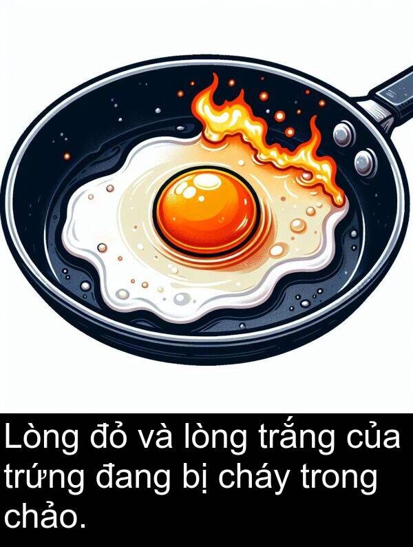 lòng: Lòng đỏ và lòng trắng của trứng đang bị cháy trong chảo.