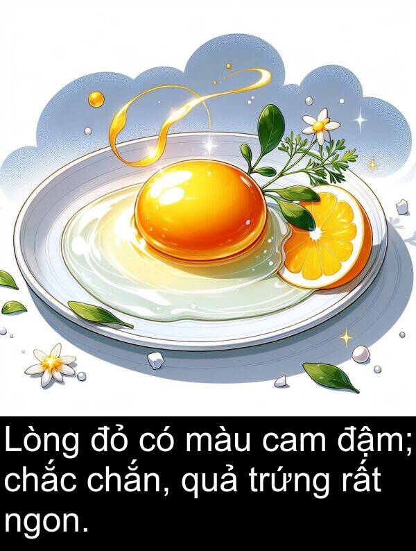 đậm: Lòng đỏ có màu cam đậm; chắc chắn, quả trứng rất ngon.