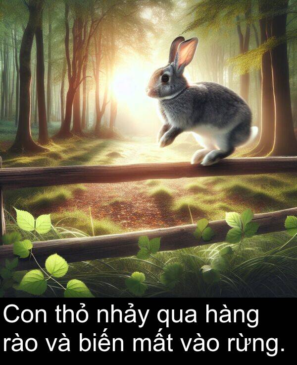 rào: Con thỏ nhảy qua hàng rào và biến mất vào rừng.