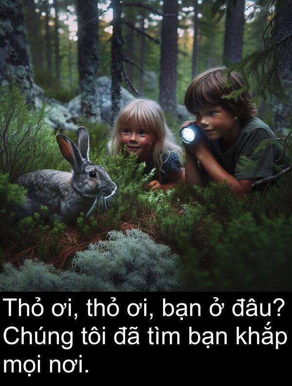 đâu: Thỏ ơi, thỏ ơi, bạn ở đâu? Chúng tôi đã tìm bạn khắp mọi nơi.