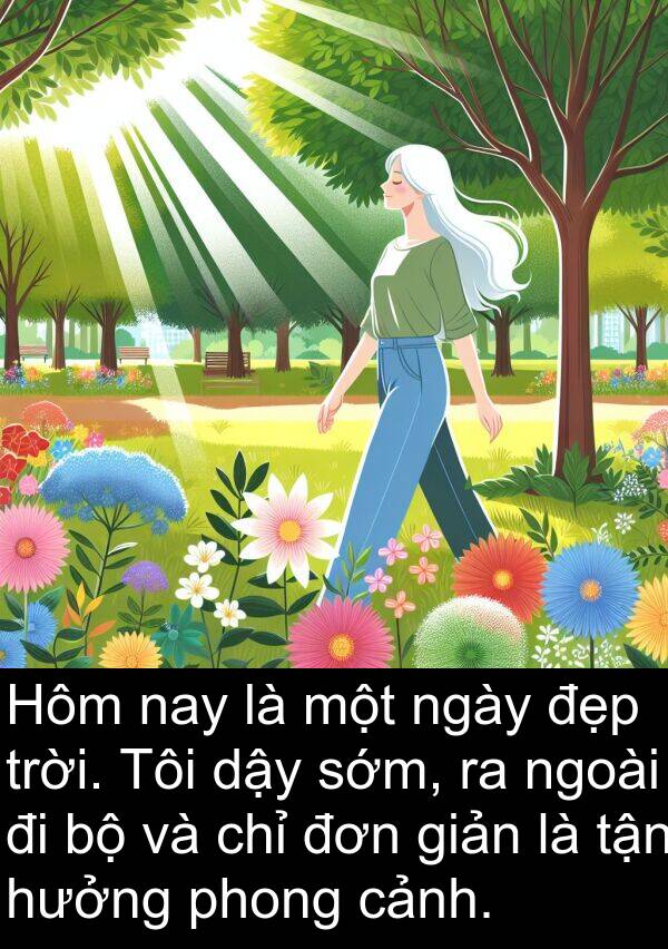 giản: Hôm nay là một ngày đẹp trời. Tôi dậy sớm, ra ngoài đi bộ và chỉ đơn giản là tận hưởng phong cảnh.