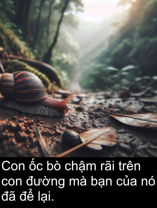 đường: Con ốc bò chậm rãi trên con đường mà bạn của nó đã để lại.