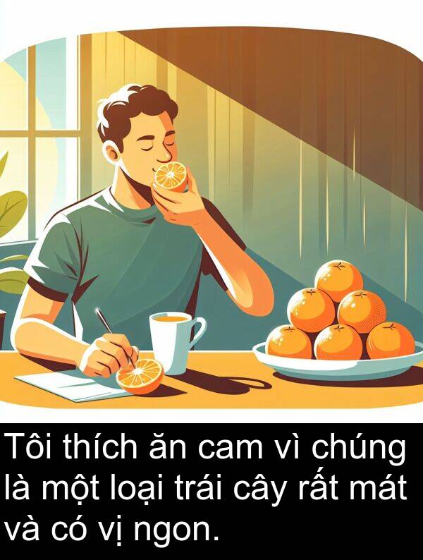 cam: Tôi thích ăn cam vì chúng là một loại trái cây rất mát và có vị ngon.
