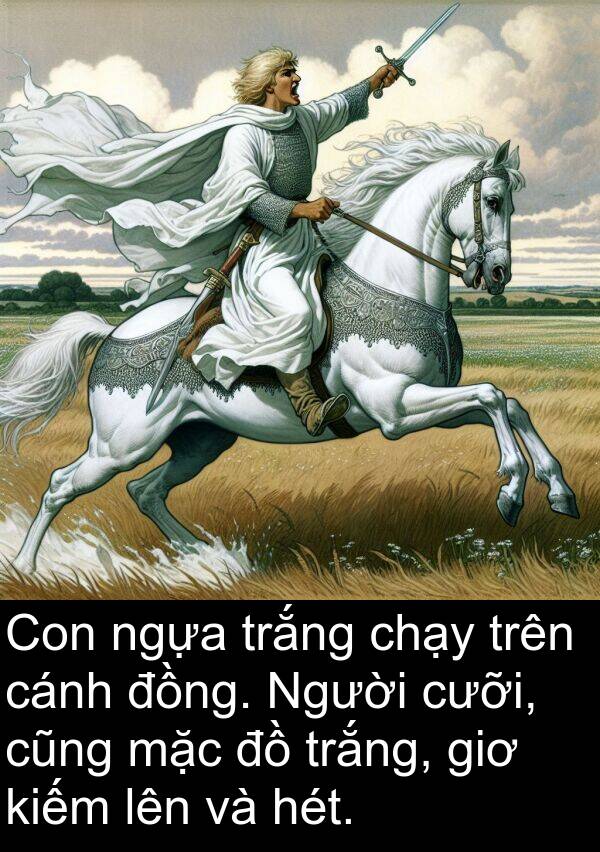 ngựa: Con ngựa trắng chạy trên cánh đồng. Người cưỡi, cũng mặc đồ trắng, giơ kiếm lên và hét.