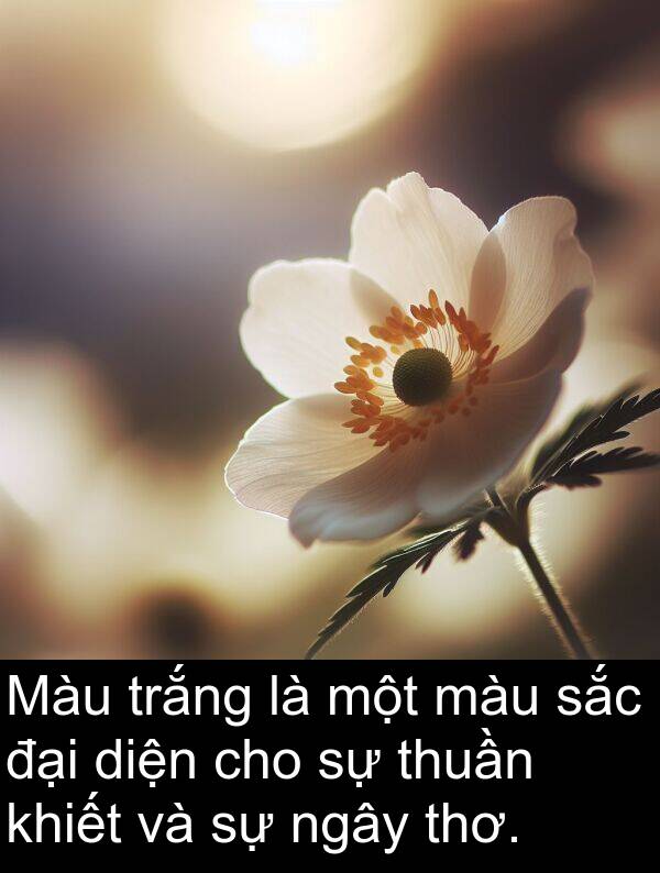 ngây: Màu trắng là một màu sắc đại diện cho sự thuần khiết và sự ngây thơ.