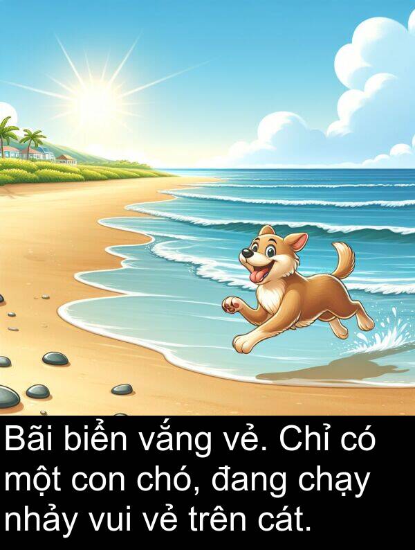 cát: Bãi biển vắng vẻ. Chỉ có một con chó, đang chạy nhảy vui vẻ trên cát.