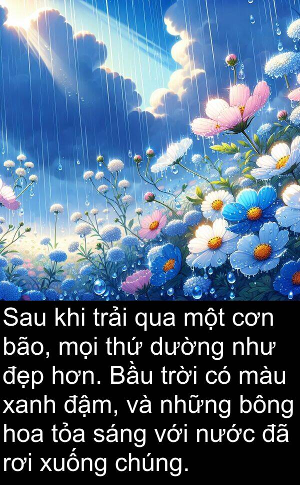 đậm: Sau khi trải qua một cơn bão, mọi thứ dường như đẹp hơn. Bầu trời có màu xanh đậm, và những bông hoa tỏa sáng với nước đã rơi xuống chúng.