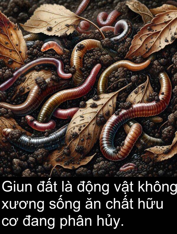 xương: Giun đất là động vật không xương sống ăn chất hữu cơ đang phân hủy.