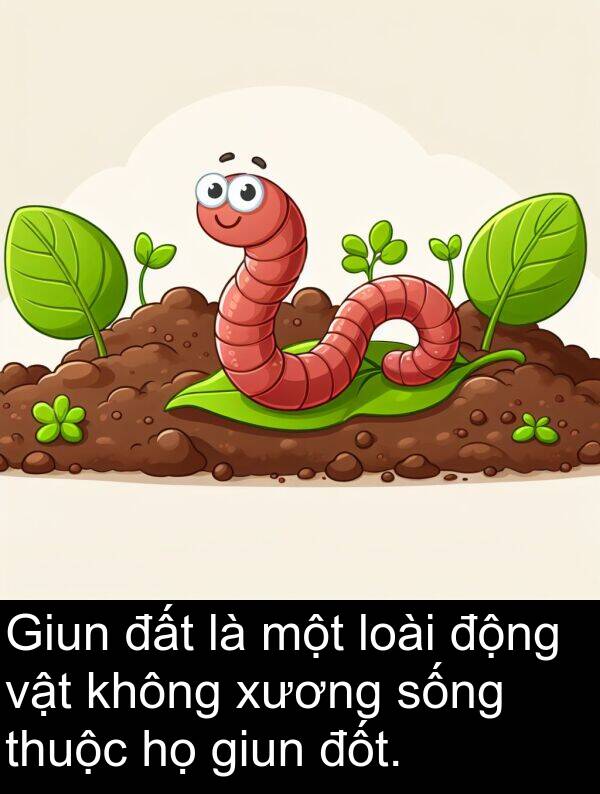 đốt: Giun đất là một loài động vật không xương sống thuộc họ giun đốt.