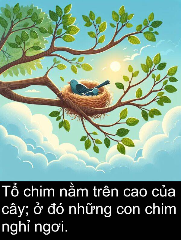 ngơi: Tổ chim nằm trên cao của cây; ở đó những con chim nghỉ ngơi.