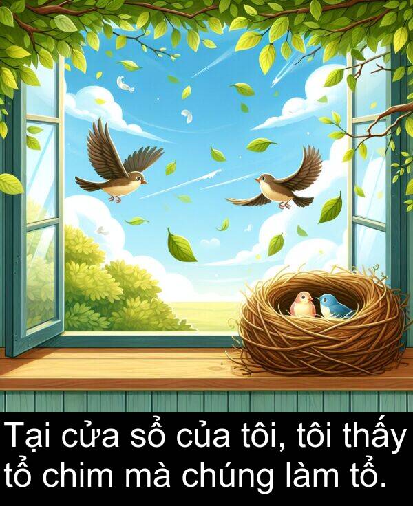 cửa: Tại cửa sổ của tôi, tôi thấy tổ chim mà chúng làm tổ.