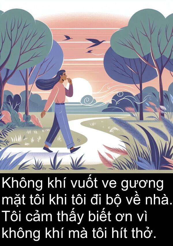 hít: Không khí vuốt ve gương mặt tôi khi tôi đi bộ về nhà. Tôi cảm thấy biết ơn vì không khí mà tôi hít thở.
