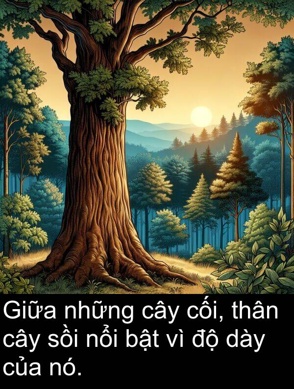 sồi: Giữa những cây cối, thân cây sồi nổi bật vì độ dày của nó.