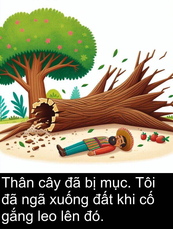 đó: Thân cây đã bị mục. Tôi đã ngã xuống đất khi cố gắng leo lên đó.