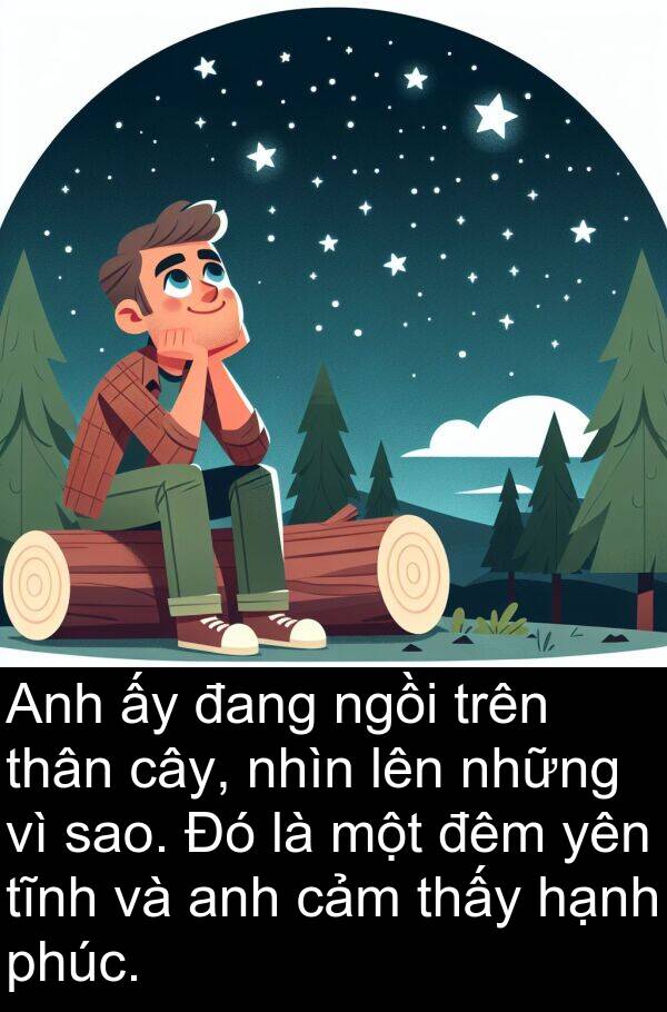 hạnh: Anh ấy đang ngồi trên thân cây, nhìn lên những vì sao. Đó là một đêm yên tĩnh và anh cảm thấy hạnh phúc.