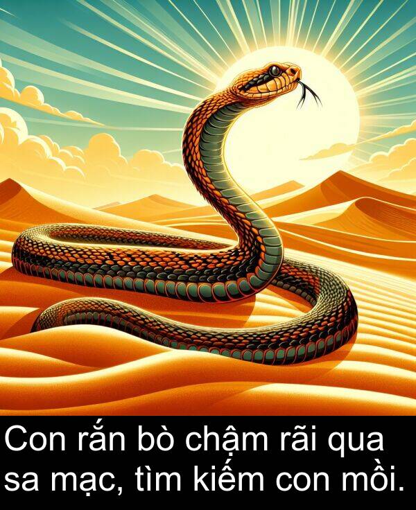 mồi: Con rắn bò chậm rãi qua sa mạc, tìm kiếm con mồi.