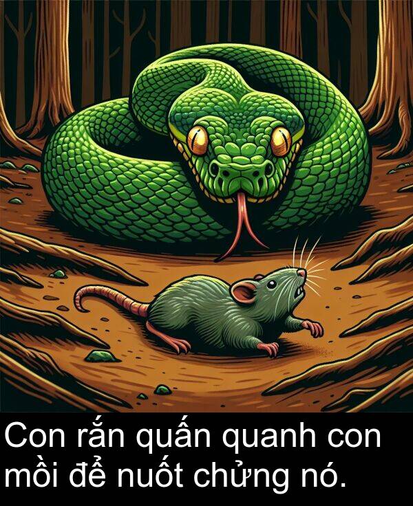 mồi: Con rắn quấn quanh con mồi để nuốt chửng nó.
