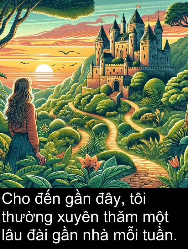 đài: Cho đến gần đây, tôi thường xuyên thăm một lâu đài gần nhà mỗi tuần.