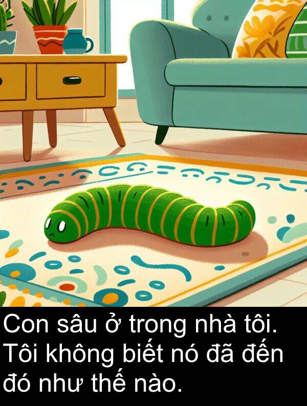 thế: Con sâu ở trong nhà tôi. Tôi không biết nó đã đến đó như thế nào.