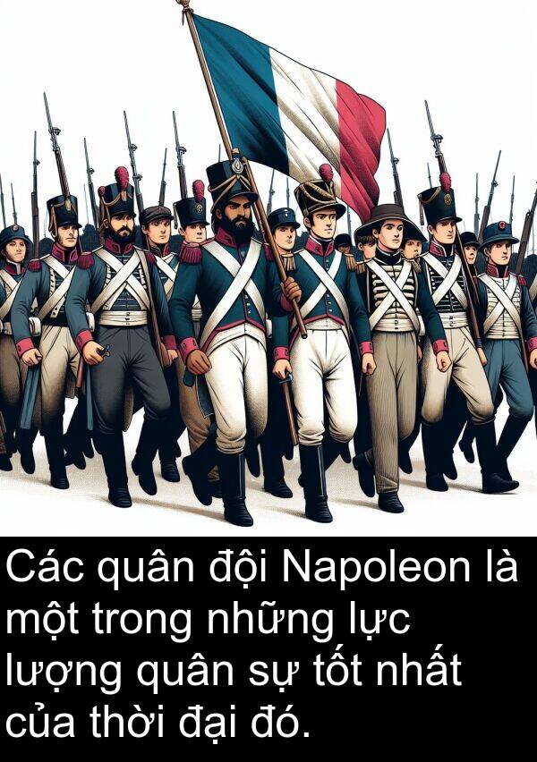 quân: Các quân đội Napoleon là một trong những lực lượng quân sự tốt nhất của thời đại đó.