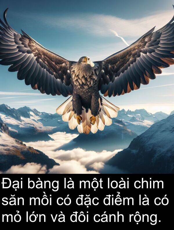 đôi: Đại bàng là một loài chim săn mồi có đặc điểm là có mỏ lớn và đôi cánh rộng.
