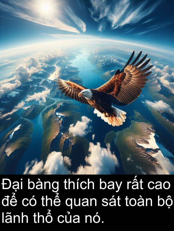 bàng: Đại bàng thích bay rất cao để có thể quan sát toàn bộ lãnh thổ của nó.