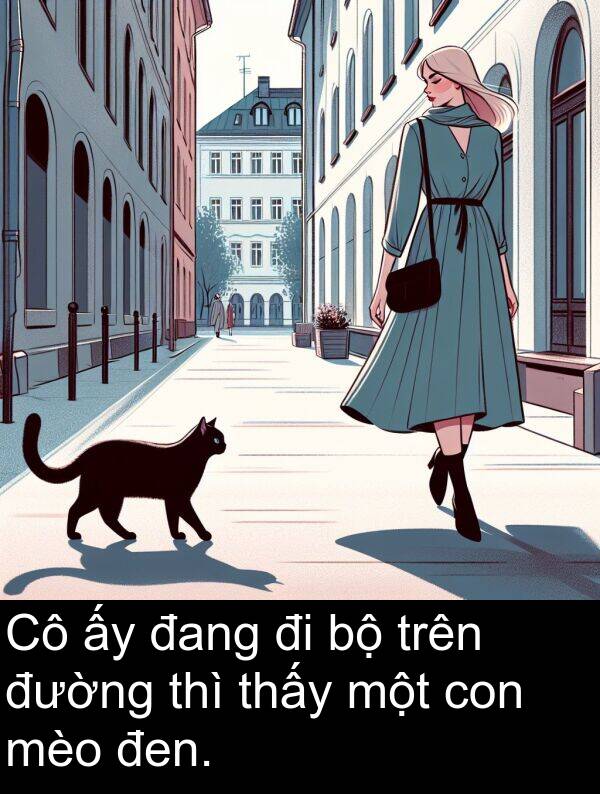 đen: Cô ấy đang đi bộ trên đường thì thấy một con mèo đen.