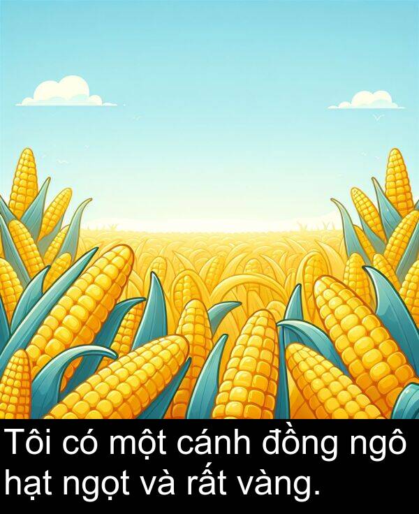 hạt: Tôi có một cánh đồng ngô hạt ngọt và rất vàng.