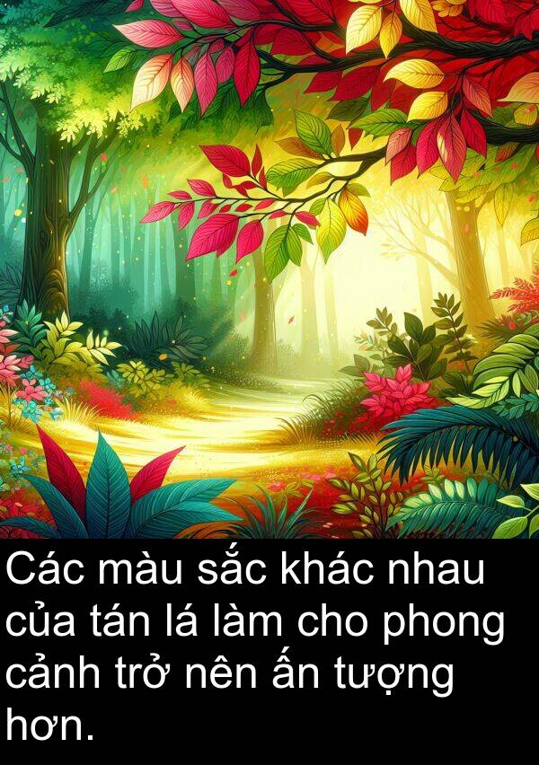 phong: Các màu sắc khác nhau của tán lá làm cho phong cảnh trở nên ấn tượng hơn.