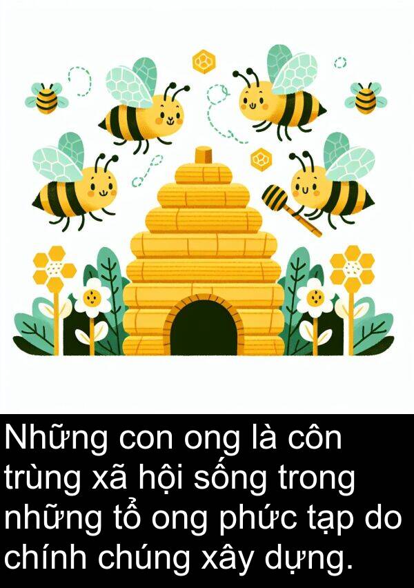côn: Những con ong là côn trùng xã hội sống trong những tổ ong phức tạp do chính chúng xây dựng.