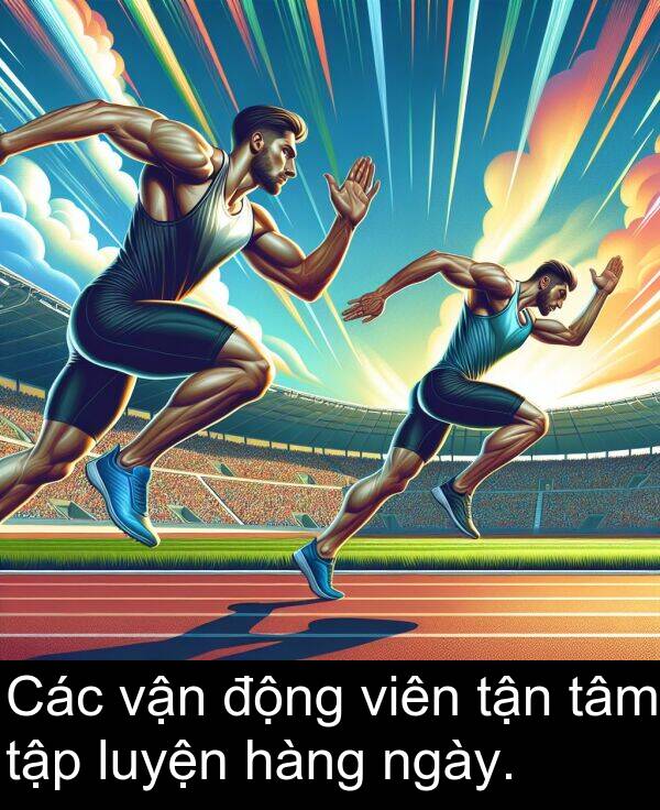 hàng: Các vận động viên tận tâm tập luyện hàng ngày.