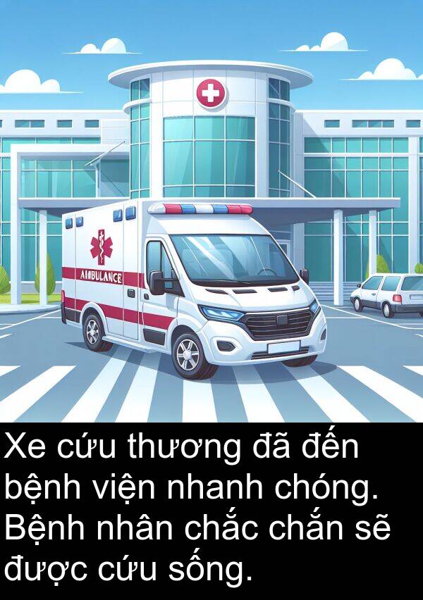 chắc: Xe cứu thương đã đến bệnh viện nhanh chóng. Bệnh nhân chắc chắn sẽ được cứu sống.