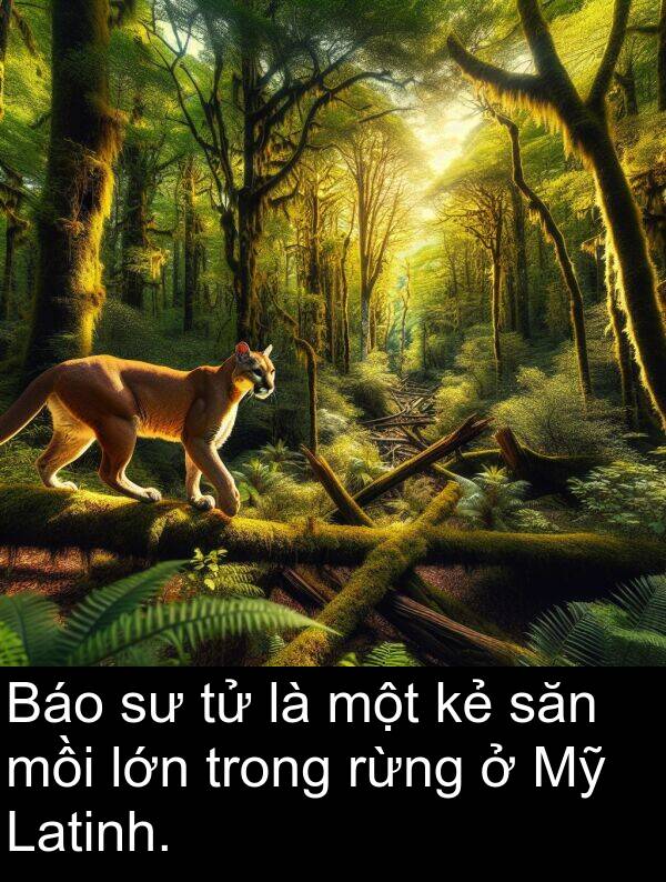 mồi: Báo sư tử là một kẻ săn mồi lớn trong rừng ở Mỹ Latinh.