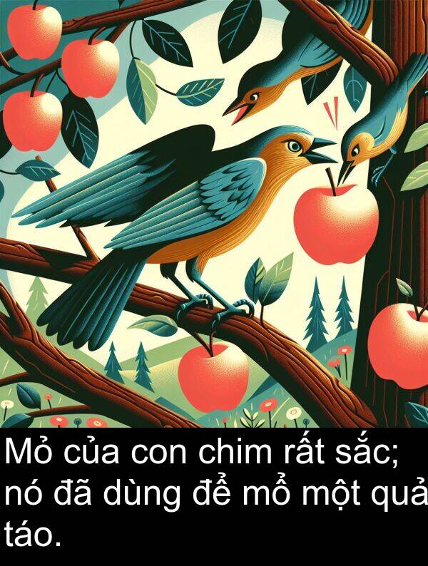táo: Mỏ của con chim rất sắc; nó đã dùng để mổ một quả táo.