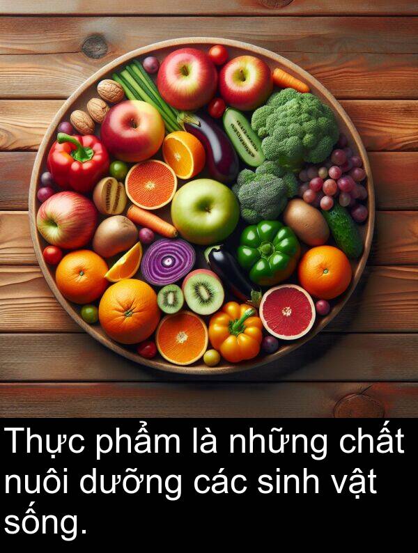 sống: Thực phẩm là những chất nuôi dưỡng các sinh vật sống.
