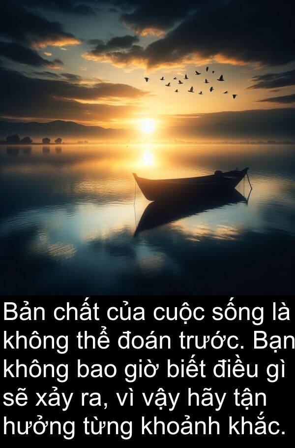đoán: Bản chất của cuộc sống là không thể đoán trước. Bạn không bao giờ biết điều gì sẽ xảy ra, vì vậy hãy tận hưởng từng khoảnh khắc.