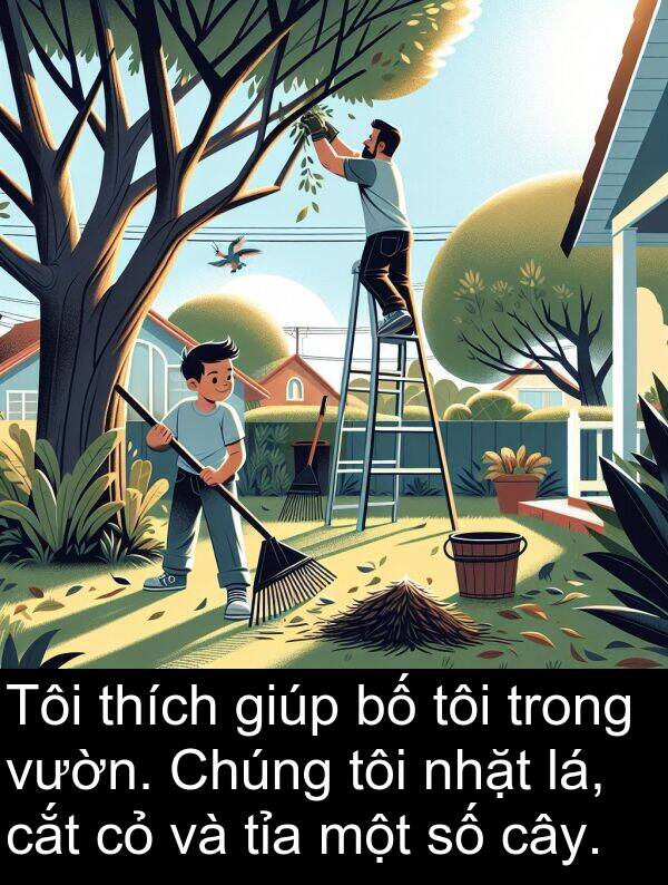 lá: Tôi thích giúp bố tôi trong vườn. Chúng tôi nhặt lá, cắt cỏ và tỉa một số cây.