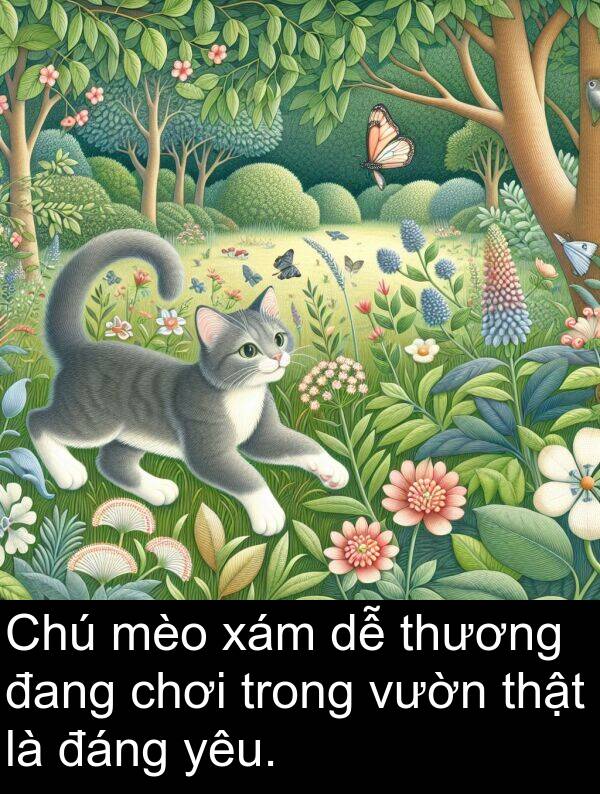 xám: Chú mèo xám dễ thương đang chơi trong vườn thật là đáng yêu.