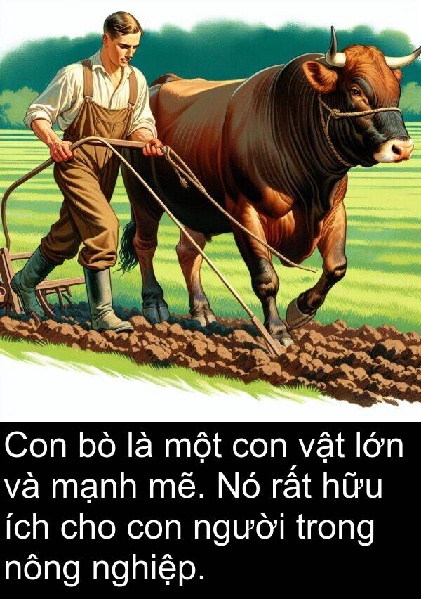 mẽ: Con bò là một con vật lớn và mạnh mẽ. Nó rất hữu ích cho con người trong nông nghiệp.