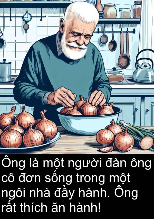 đơn: Ông là một người đàn ông cô đơn sống trong một ngôi nhà đầy hành. Ông rất thích ăn hành!