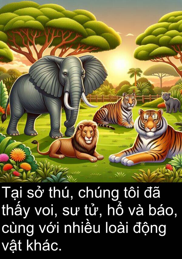 voi: Tại sở thú, chúng tôi đã thấy voi, sư tử, hổ và báo, cùng với nhiều loài động vật khác.